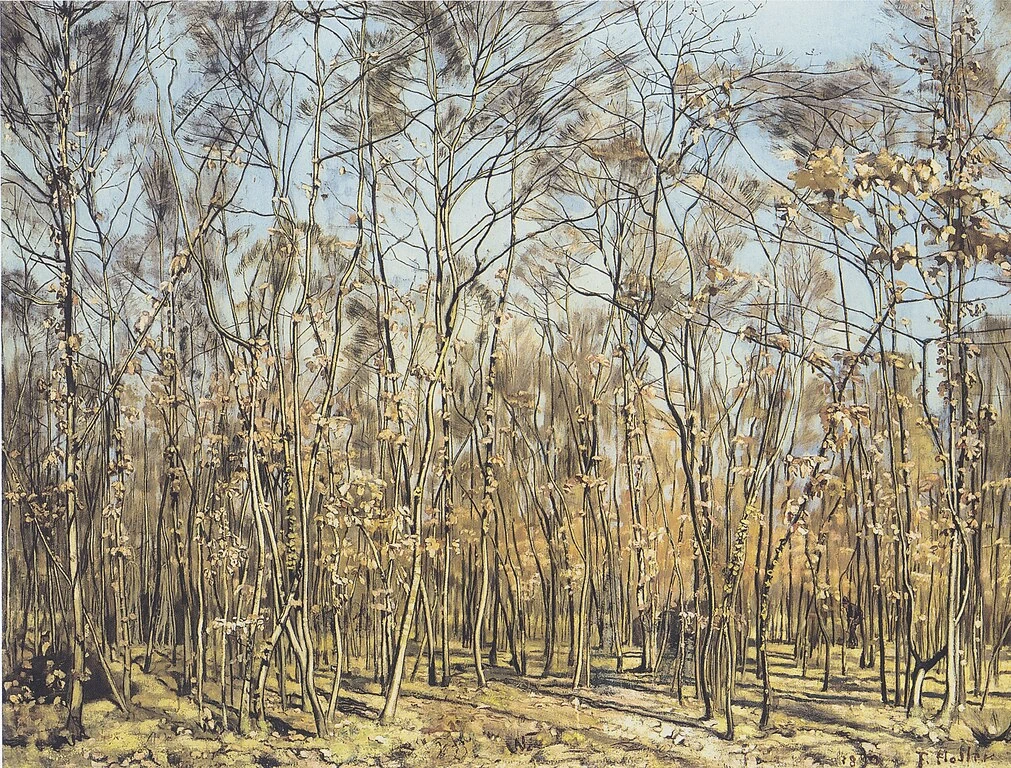 La foresta di faggi, 1885 - Kunstmuseum Solothurn, Soletta